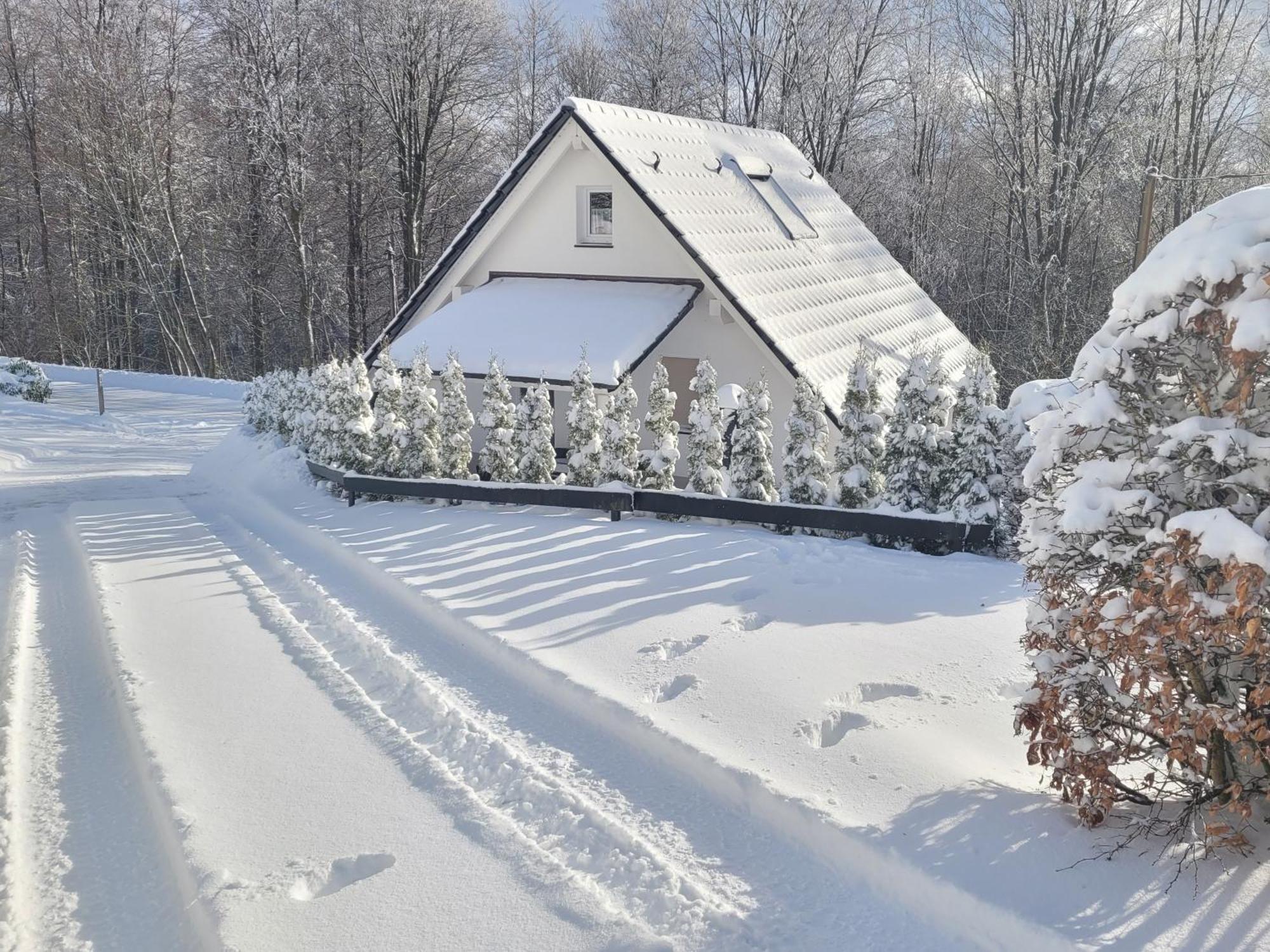 Ferienhaus am Ruhberg Winterberg Exterior foto